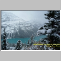 16046 504 Peyto Lake Banff NP Kanada 2009.jpg